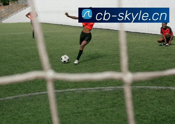 数据防护可视化